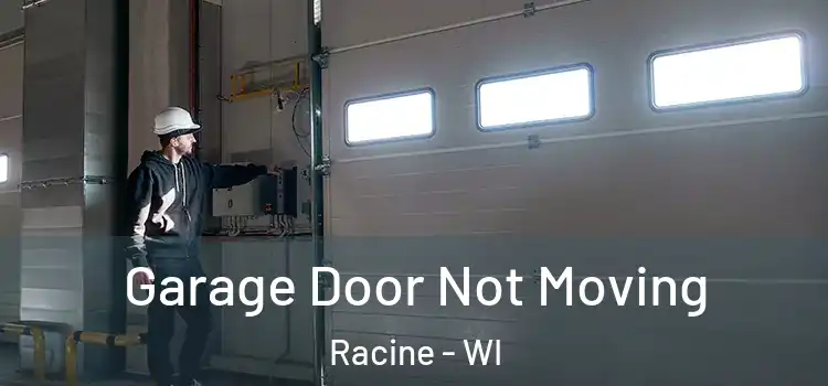  Garage Door Not Moving Racine - WI