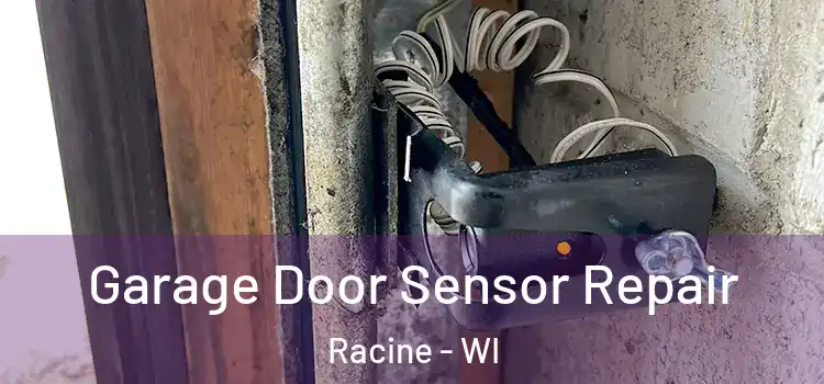  Garage Door Sensor Repair Racine - WI