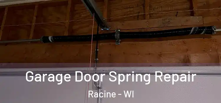  Garage Door Spring Repair Racine - WI