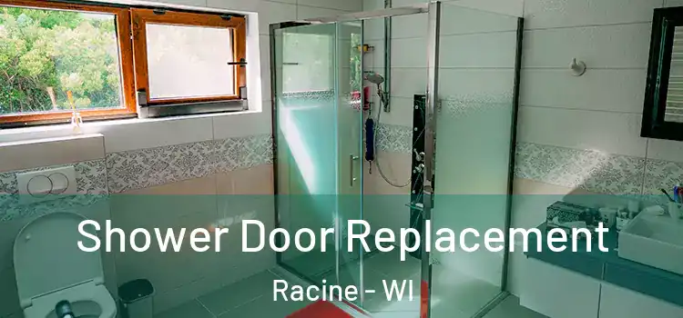  Shower Door Replacement Racine - WI